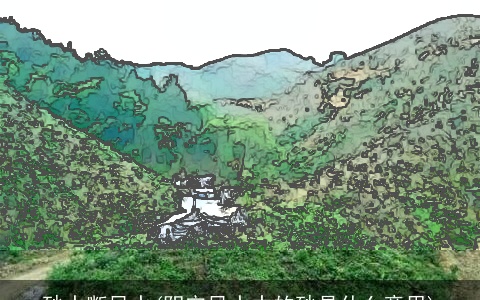 砂水断风水(阴宅风水中的砂是什么意思)