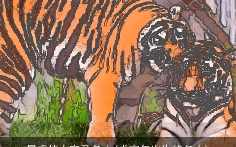 属虎的大官及名人(戊寅年出生的名人)