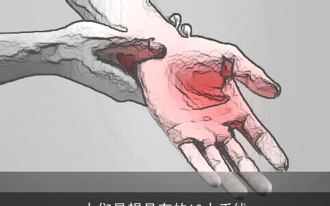 人们最想具有的10大手线