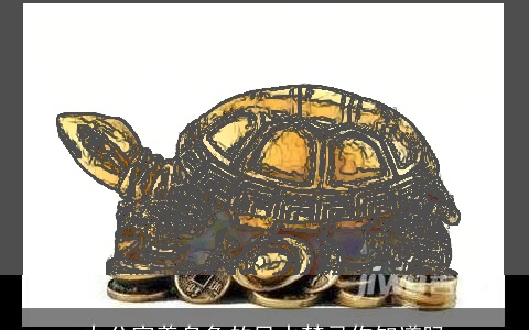 办公室养乌龟的风水禁忌你知道吗