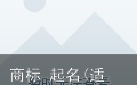 商标 起名(适合男孩名字的字)