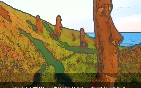 哪些星座男士特别擅长呵护自己的伴侣？