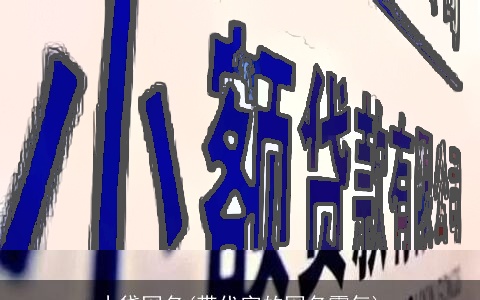小贷网名(带代字的网名霸气)