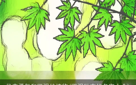 代表勇气和坚强的植物(坚强励志的名字大全)