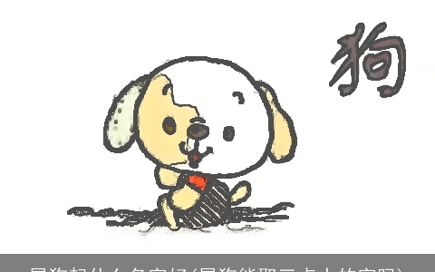 属狗起什么名字好(属狗能取三点水的字吗)