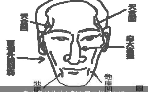 朝天鼻是什什么朝天鼻面相好不好