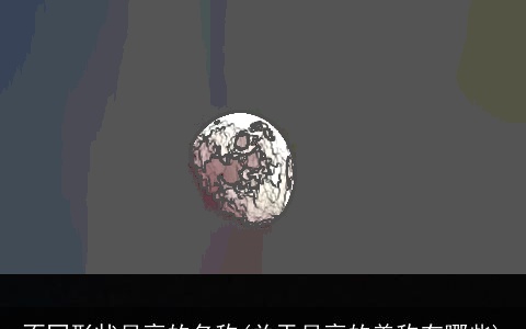 不同形状月亮的名称(关于月亮的美称有哪些)