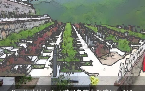 祖上的墓地上面长满了杂草会影响风水吗？