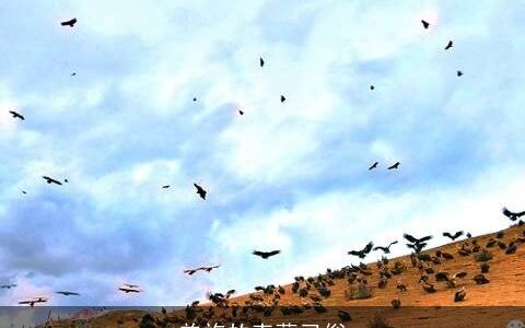 羌族的丧葬习俗