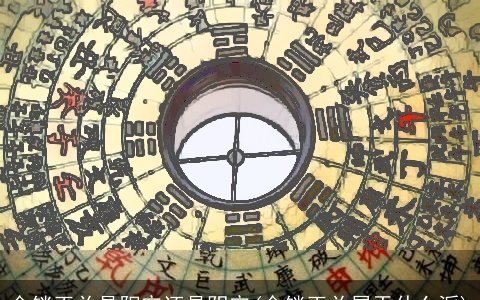 金锁玉关是阳宅还是阴宅(金锁玉关属于什么派)