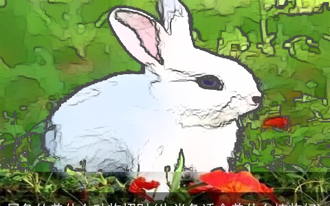 属兔的养什么动物招财(生肖兔适合养什么植物好)