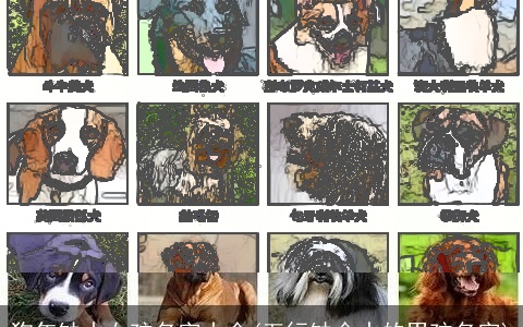 狗年缺水女孩名字大全(五行缺金水的男孩名字)