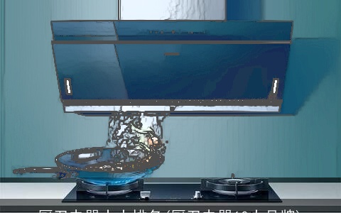 厨卫电器十大排名(厨卫电器10大品牌)