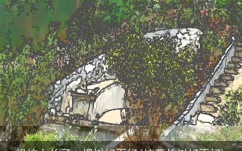 祖坟上长了一棵树好不好(坟墓长树好不好)