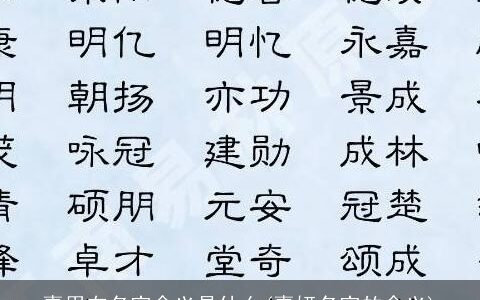嘉用在名字含义是什么(嘉妍名字的含义)