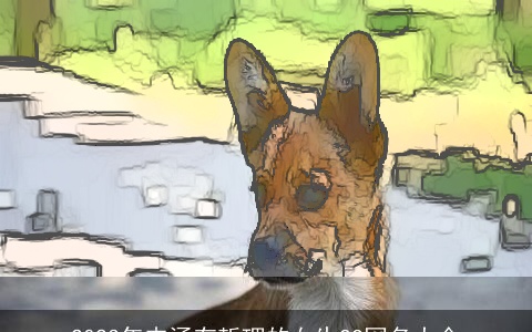 2023年内涵有哲理的女生QQ网名大全