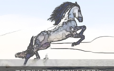 一匹马取什么名字(姓马叫什么名字最好)