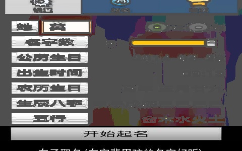 存子取名(存字辈男孩的名字好听)