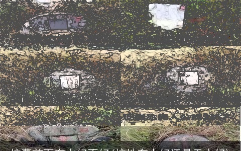 坟墓前面有水好不好(坟地有水好还是无水好)