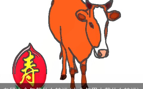 老鼠本命年戴什么转运(本命年男人戴什么转运)