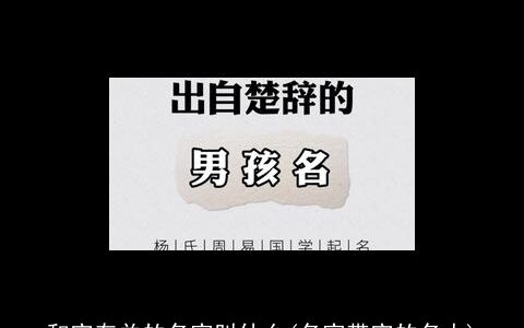 和宝有关的名字叫什么(名字带宝的名人)