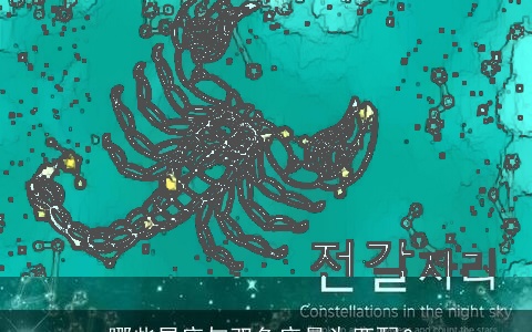 哪些星座与双鱼座最为匹配？