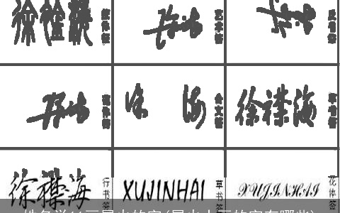姓名学11画属火的字(属火十画的字有哪些)