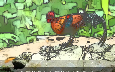 数鸡的名人(属鸡的伟人和名人)