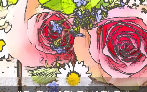 八字中有哪几个带桃花的(命有桃花绿)