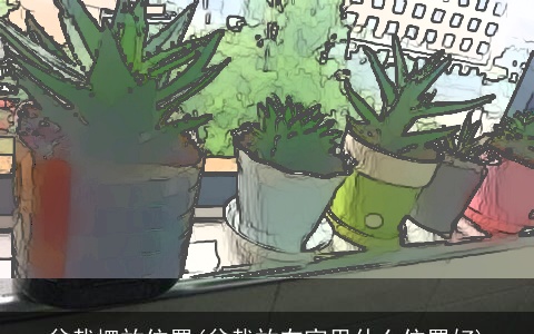 盆栽摆放位置(盆栽放在家里什么位置好)