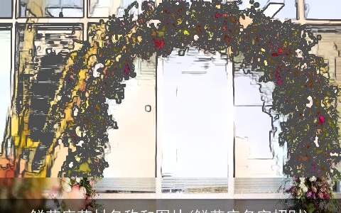 鲜花店花材名称和图片(鲜花店名字招财)