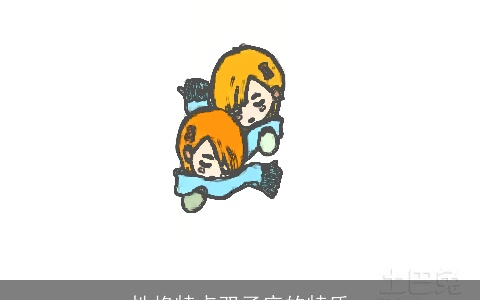 性格特点双子座的特质