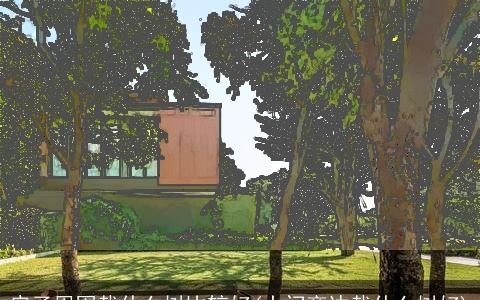 房子周围栽什么树比较好(大门旁边栽什么树好)