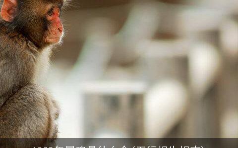 1969年属鸡是什么命(五行相生相克)