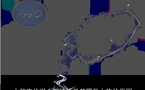 水瓶座的潜力股特质及其黑马之称的原因