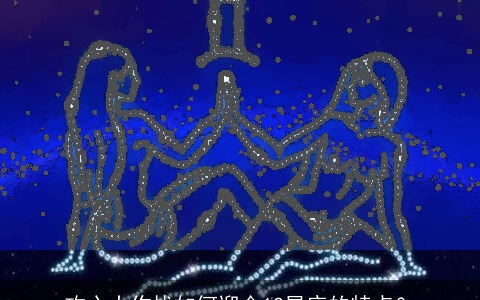 攻心大作战如何迎合12星座的特点？