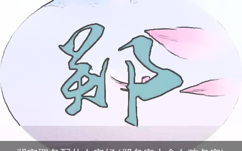 郑字取名配什么字好(郑名字大全女孩名字)