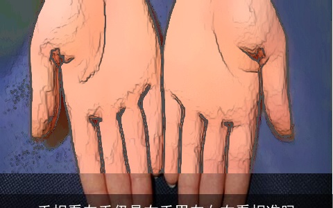 手相看左手仍是右手男左女右看相准吗