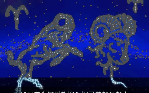 12星座为何受欢迎？探寻其超凡魅力