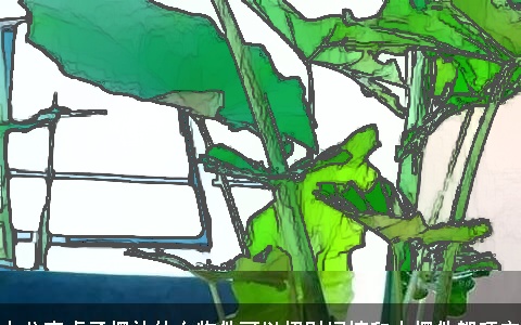 办公室桌子摆放什么物件可以招财绿植和小摆件都旺宅