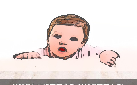 2023年生的猪宝宝乳名(2023年宝宝小名)