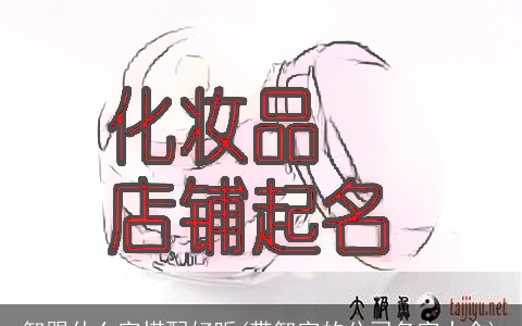 智跟什么字搭配好听(带智字的公司名字大全)