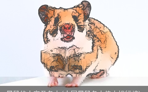 属鼠的大官及名人(中国属鼠名人伟人排行榜)