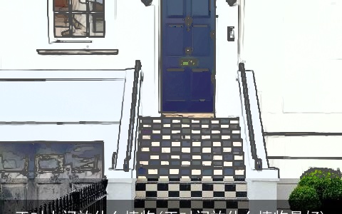 正对大门放什么植物(正对门放什么植物最好)