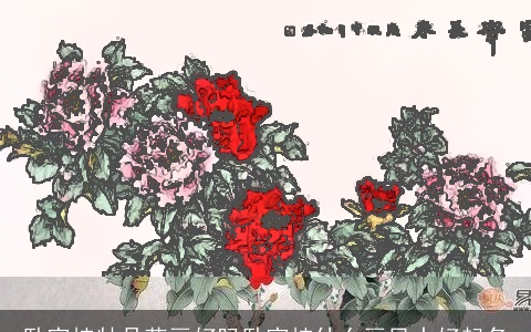 卧室挂牡丹花画好吗卧室挂什么画风水好起名