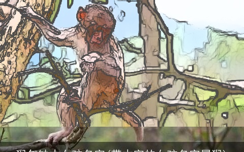 猴年缺木女孩名字(带木字的女孩名字属猴)