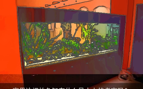 家里边摆放鱼缸有什么风水上的考究吗？