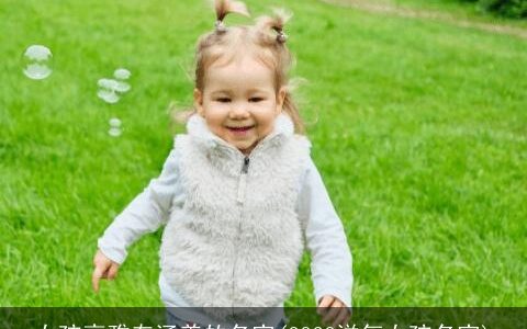 女孩高雅有涵养的名字(2024洋气女孩名字)