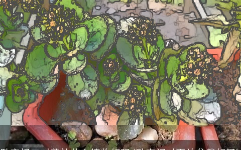 卧室门口对着放什么植物好吗(卧室门对面放盆栽好吗)