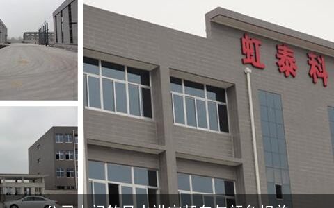 公司大门的风水讲究朝向与颜色相关